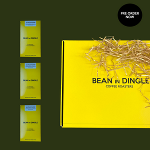 Bean in Dingle Christmas Box - 3 Boxes of coffee - BEAN IN DINGLE